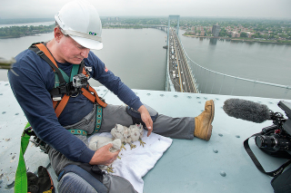 Illustration for article titled The Secret Lives of NYC Mega-Projects, Revealed By One PhotographerÂ